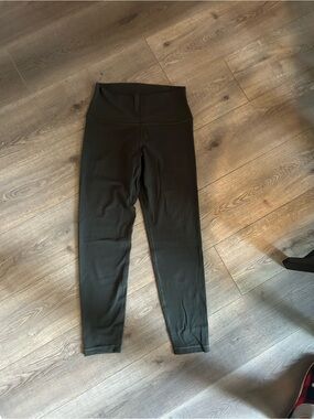 Aritzia Golden Leggings in Forest Green